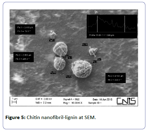 nutraceuticals-Chitin-nanofibril-lignin