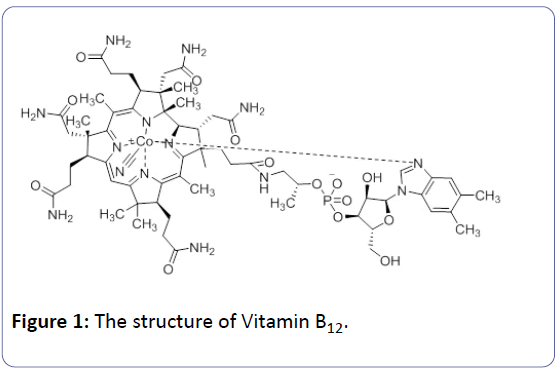 nutraceuticals-Vitamin-B12;