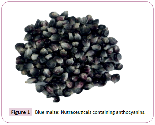 nutraceuticals-containing-anthocyanins