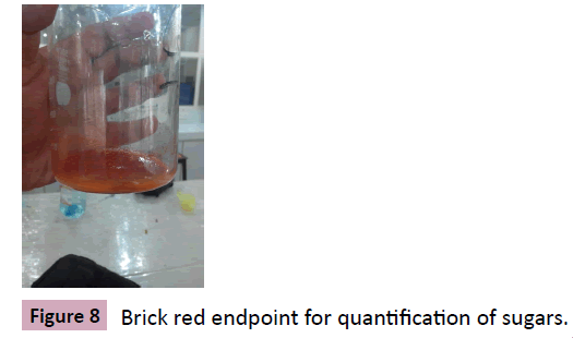 nutraceuticals-endpoint-quantification