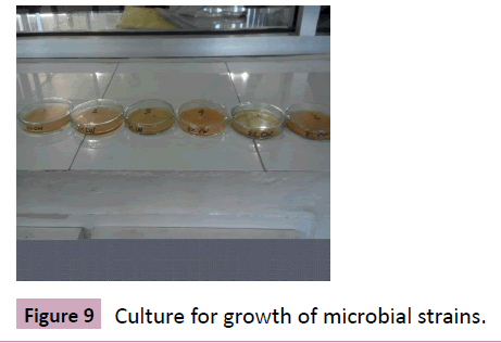 nutraceuticals-microbial-strains
